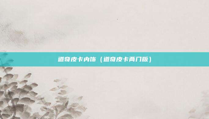 道奇皮卡内饰(道奇皮卡两门版)