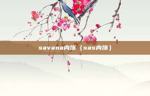 savana内饰(sas内饰)