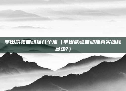 丰田威驰自动挡几个油(丰田威驰自动挡真实油耗多少?)