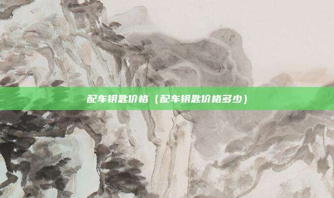 配车钥匙价格（配车钥匙价格多少）