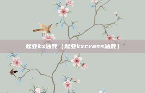 起亚kx油耗(起亚kxcross油耗)