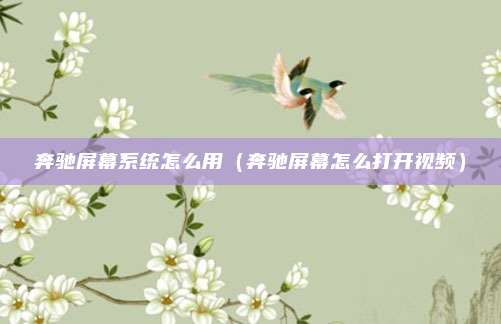 奔驰屏幕系统怎么用（奔驰屏幕怎么打开视频）