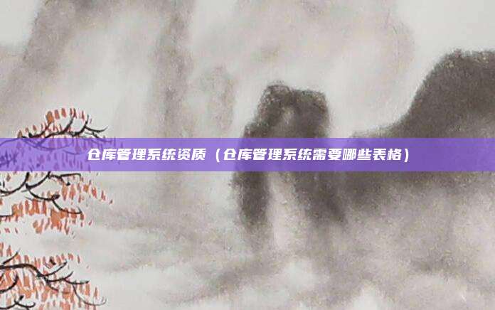 仓库管理系统资质(仓库管理系统需要哪些表格)