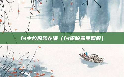 f3中控保险在哪(f3保险盒里图解)