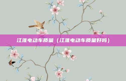 江淮电动车质量（江淮电动车质量好吗）