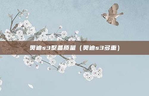 奥迪s3整备质量（奥迪s3多重）