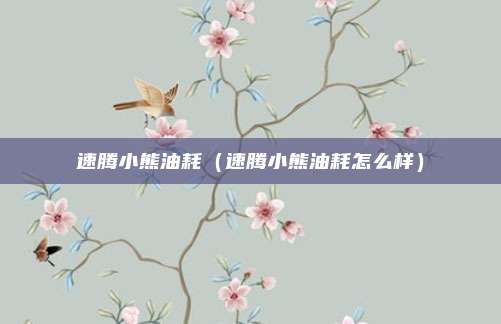 速腾小熊油耗（速腾小熊油耗怎么样）