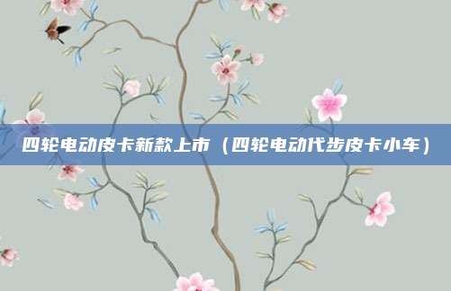 四轮电动皮卡新款上市（四轮电动代步皮卡小车）