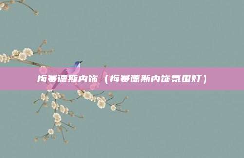 梅赛德斯内饰（梅赛德斯内饰氛围灯）