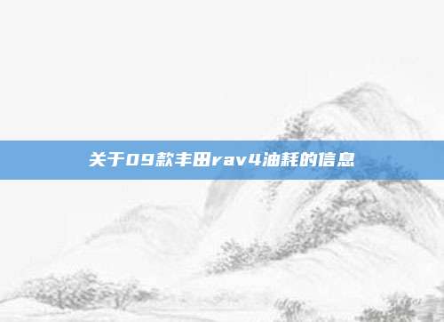 关于09款丰田rav4油耗的信息