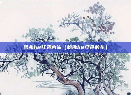 哈弗h2红色内饰（哈佛h2红色的车）
