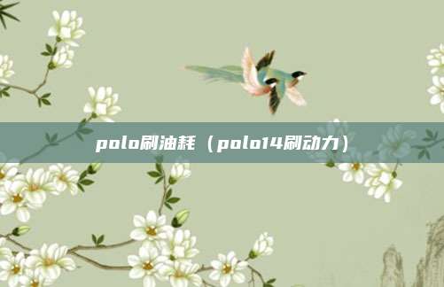 polo刷油耗（polo14刷动力）