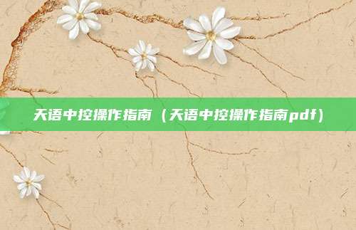 天语中控操作指南(天语中控操作指南pdf)