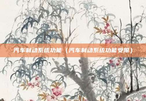 汽车制动系统功能(汽车制动系统功能受限)