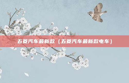 五菱汽车最新款(五菱汽车最新款电车)