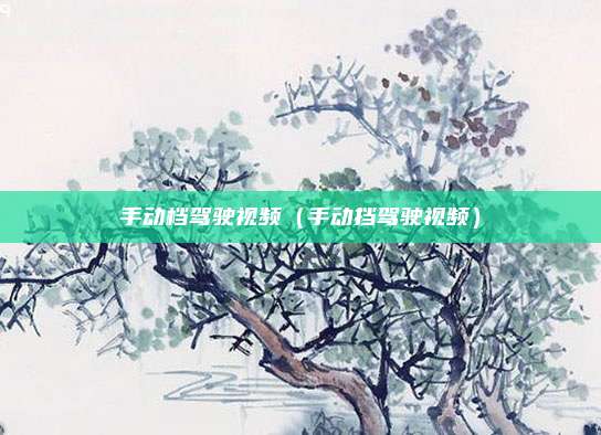 手动档驾驶视频(手动挡驾驶视频)
