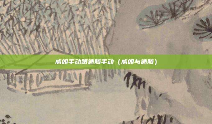 威朗手动跟速腾手动(威朗与速腾)