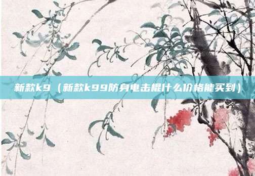 新款k9(新款k99防身电击棍什么价格能买到)