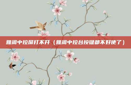 雅阁中控屏打不开（雅阁中控台按键都不好使了）