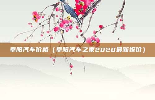 阜阳汽车价格(阜阳汽车之家2020最新报价)