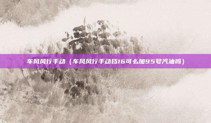 车风风行手动（车风风行手动挡16可么加95号汽油吗）