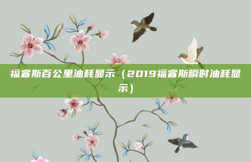 福睿斯百公里油耗显示(2019福睿斯瞬时油耗显示)