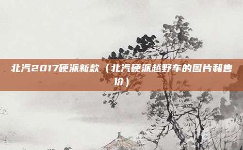 北汽2017硬派新款(北汽硬派越野车的图片和售价)