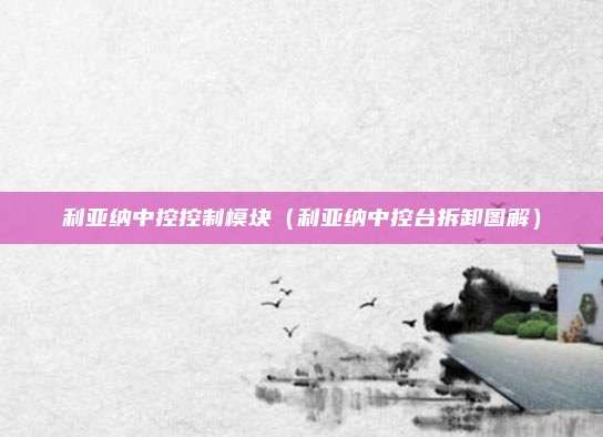 利亚纳中控控制模块（利亚纳中控台拆卸图解）