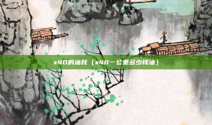 x40的油耗(x40一公里多少钱油)