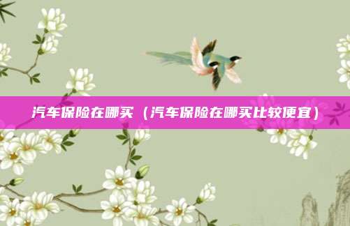 汽车保险在哪买(汽车保险在哪买比较便宜)