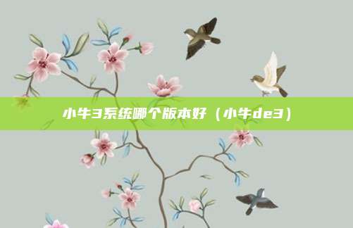 小牛3系统哪个版本好(小牛de3)