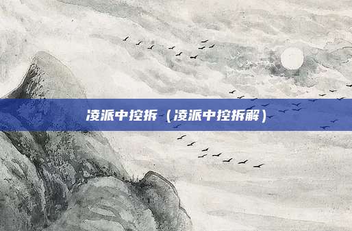 凌派中控拆(凌派中控拆解)