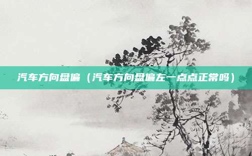 汽车方向盘偏（汽车方向盘偏左一点点正常吗）