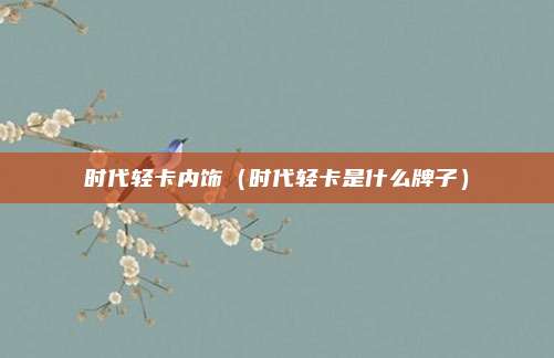 时代轻卡内饰(时代轻卡是什么牌子)