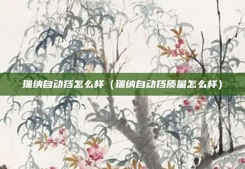 瑞纳自动挡怎么样（瑞纳自动挡质量怎么样）