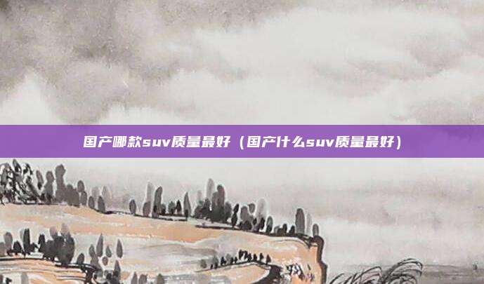 国产哪款suv质量最好（国产什么suv质量最好）