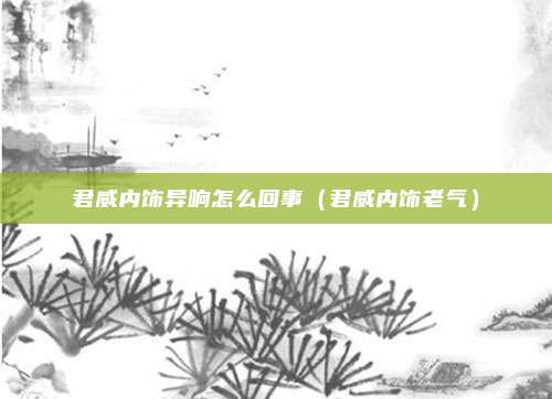 君威内饰异响怎么回事(君威内饰老气)