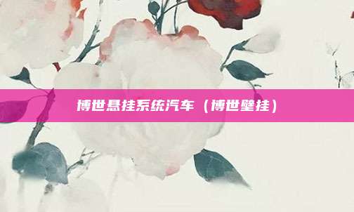 博世悬挂系统汽车（博世壁挂）