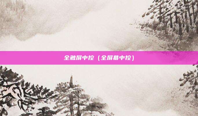 全触屏中控(全屏幕中控)