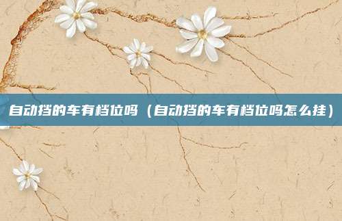 自动挡的车有档位吗（自动挡的车有档位吗怎么挂）