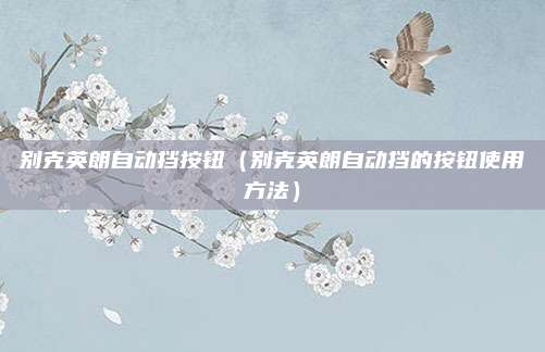 别克英朗自动挡按钮(别克英朗自动挡的按钮使用方法)