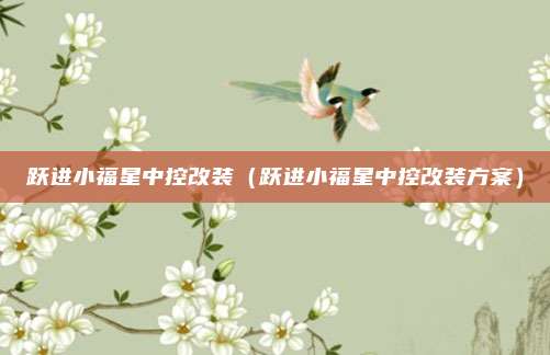 跃进小福星中控改装（跃进小福星中控改装方案）