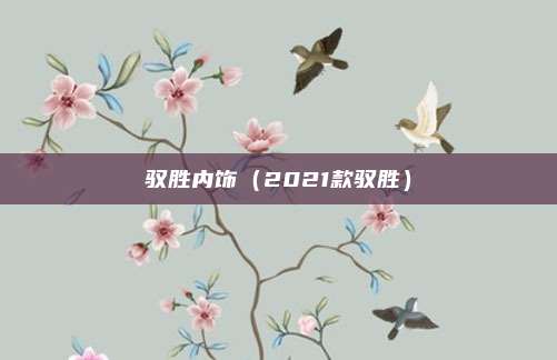 驭胜内饰（2021款驭胜）