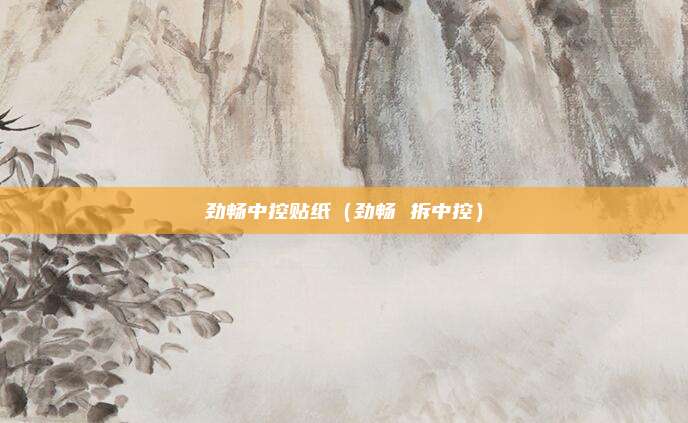 劲畅中控贴纸（劲畅 拆中控）