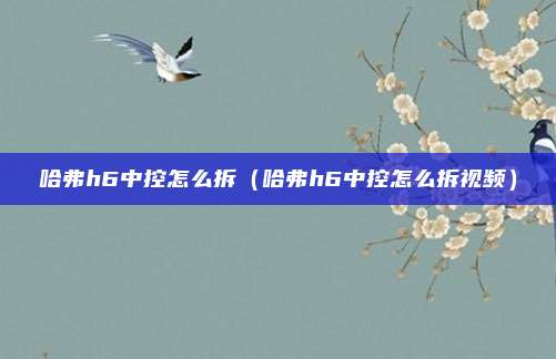 哈弗h6中控怎么拆(哈弗h6中控怎么拆视频)