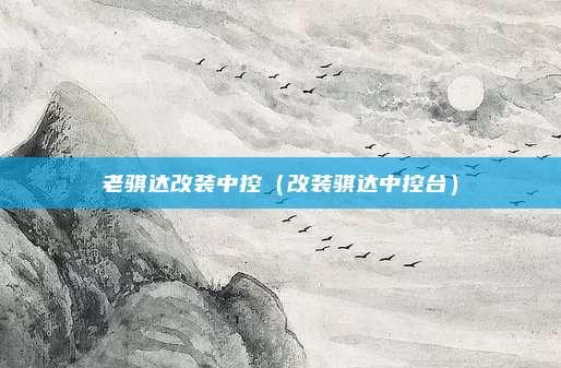 老骐达改装中控（改装骐达中控台）