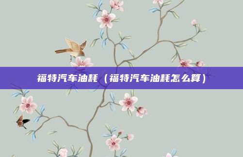 福特汽车油耗(福特汽车油耗怎么算)