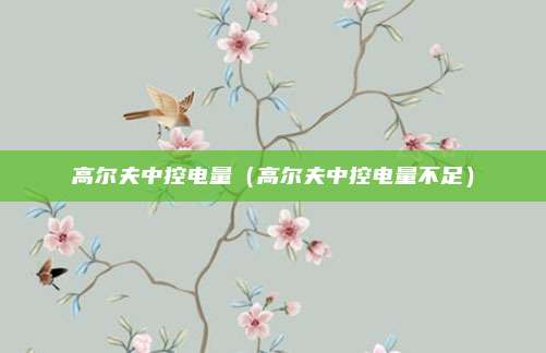 高尔夫中控电量（高尔夫中控电量不足）