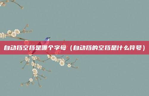 自动挡空挡是哪个字母（自动挡的空挡是什么符号）