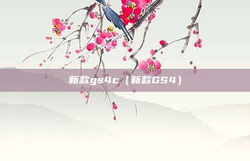 新款gs4c(新款GS4)